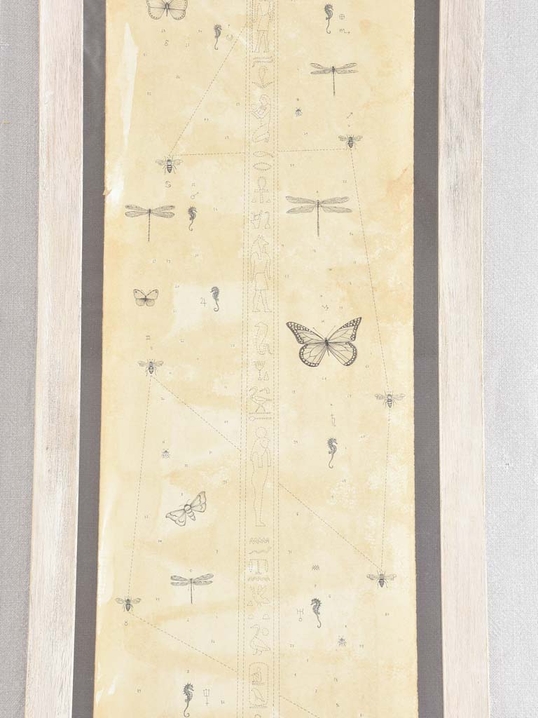2 Andrea Collesano drawings - rhinoceros & elephant 47¾" x 14¼"