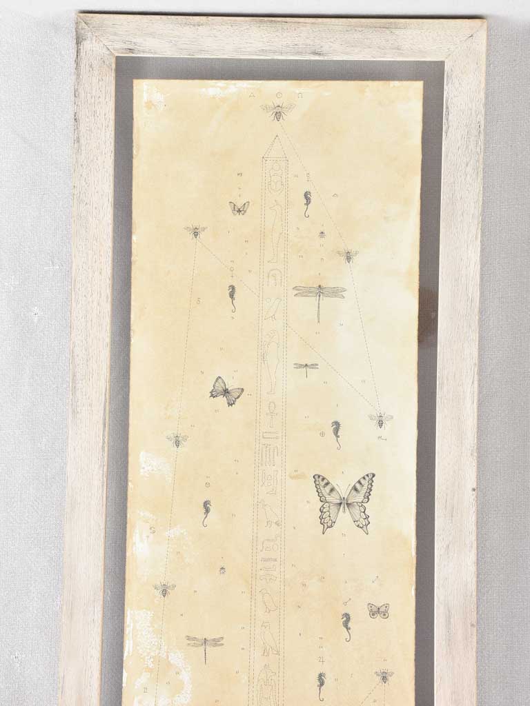 2 Andrea Collesano drawings - rhinoceros & elephant 47¾" x 14¼"