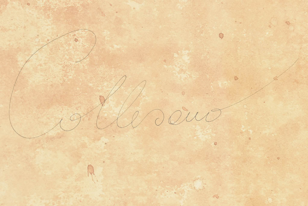 2 Andrea Collesano drawings - rhinoceros & elephant 47¾" x 14¼"