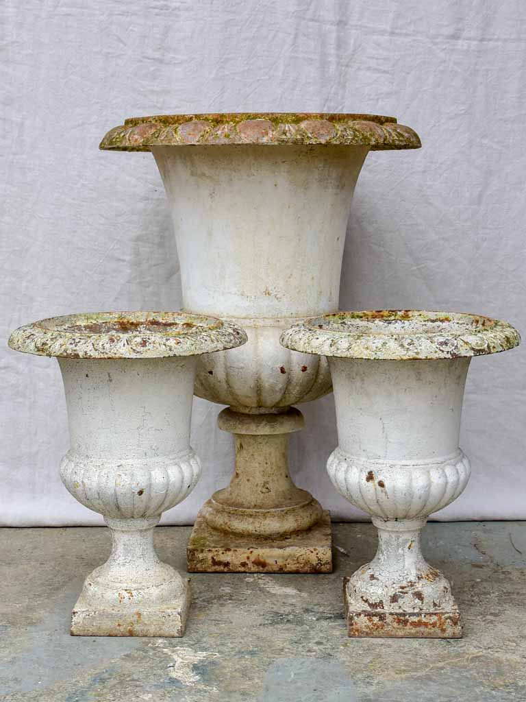 Extra large antique French cast iron Medici urn 31½"