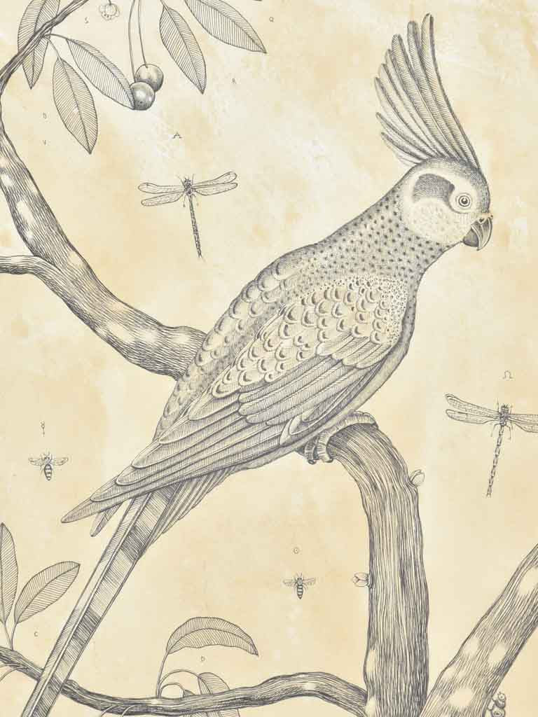 Andrea Collesano drawing - crested bird in cherry tree 21¾" x 17¾"