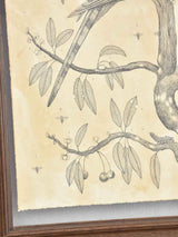 Andrea Collesano drawing - crested bird in cherry tree 21¾" x 17¾"