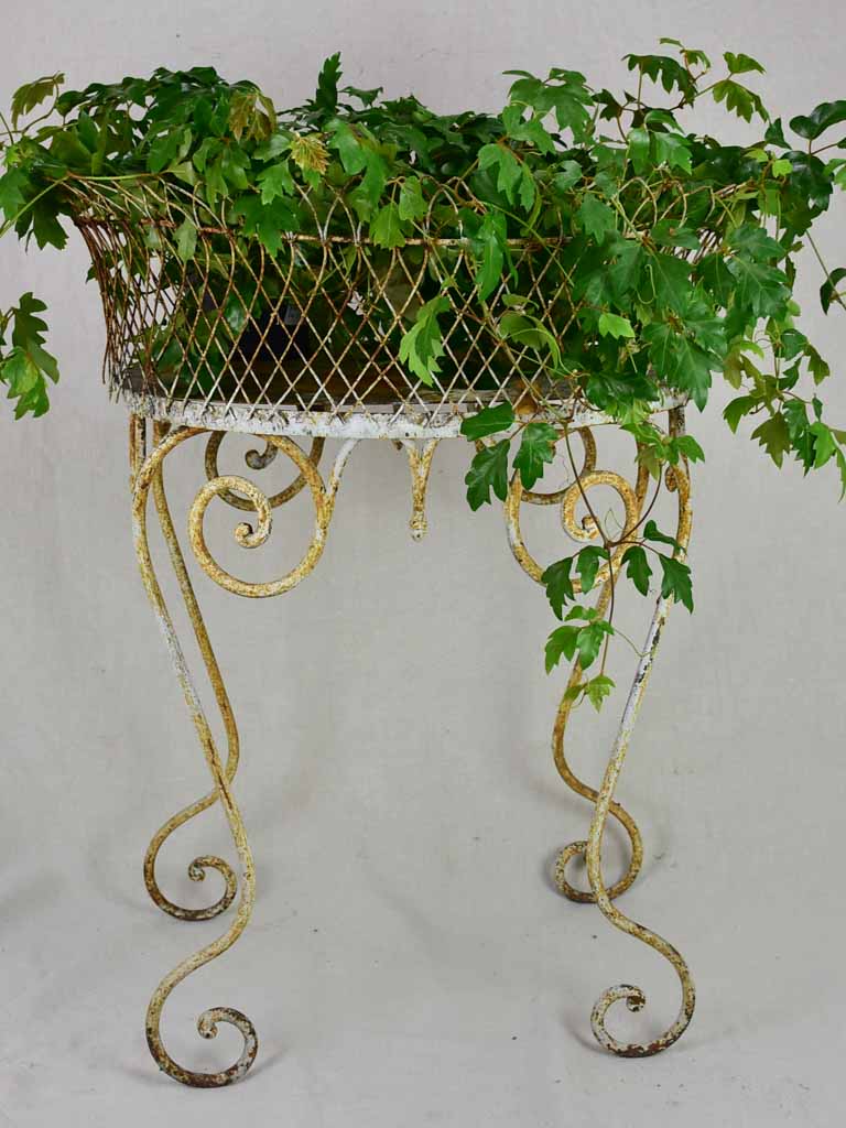 Early 20th Century French plant stand, iron and wire work 29½ x 23¾""