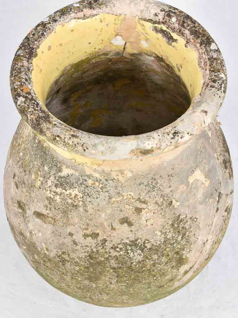 Late 18th century olive jar - medium 24½"