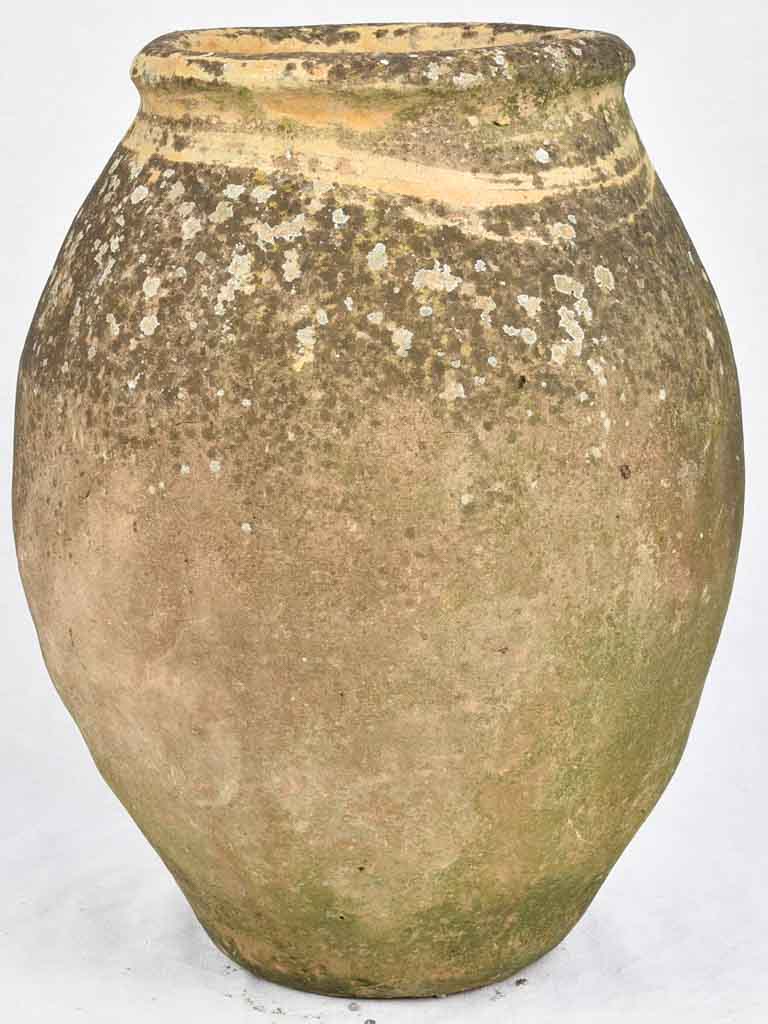 Antique French olive jar 22¾" Chez Pluie