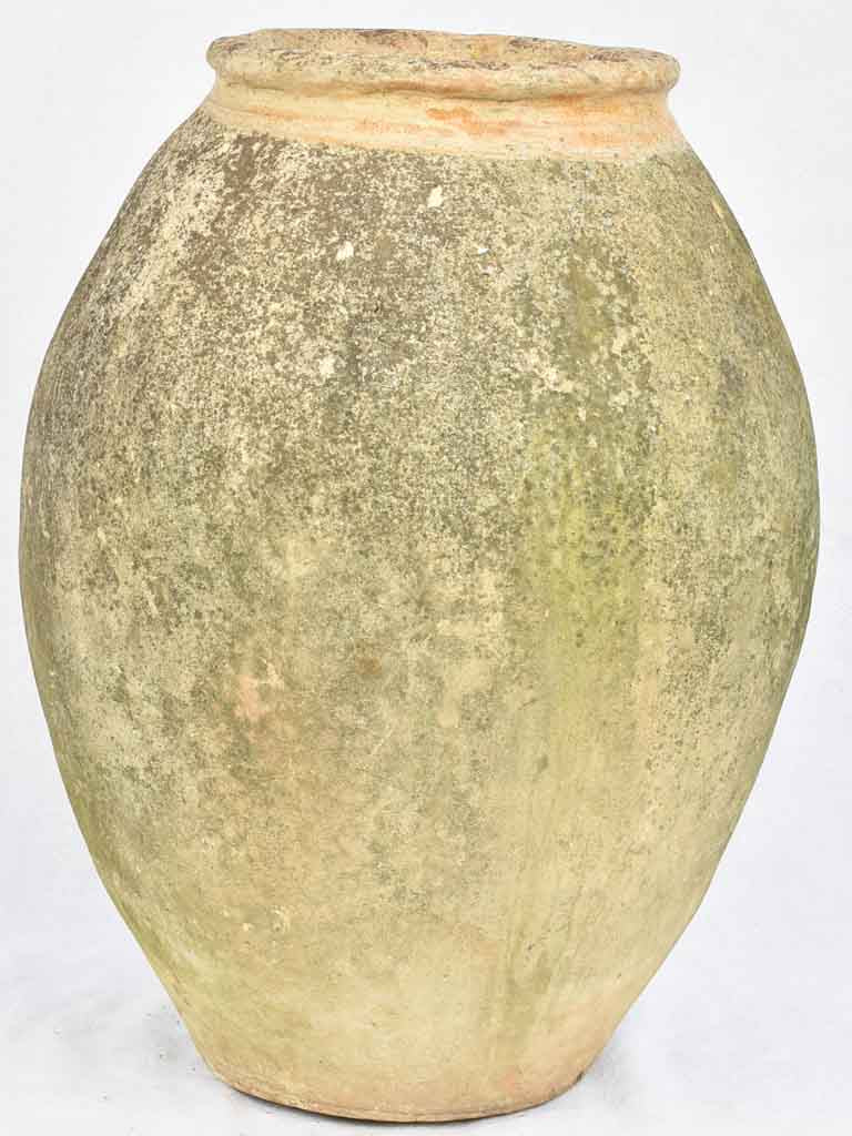 19th century French olive jar - Biot jar 24½"
