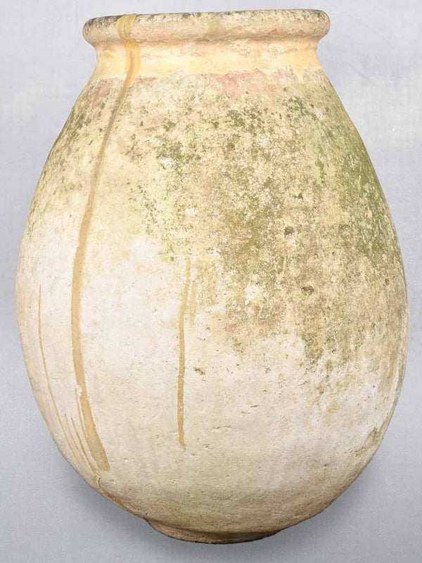Large Antique French Olive Biot Jar