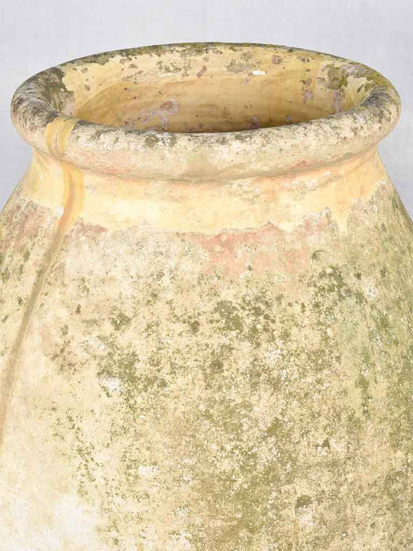 Large 19th century French olive jar - Biot jar 40½"