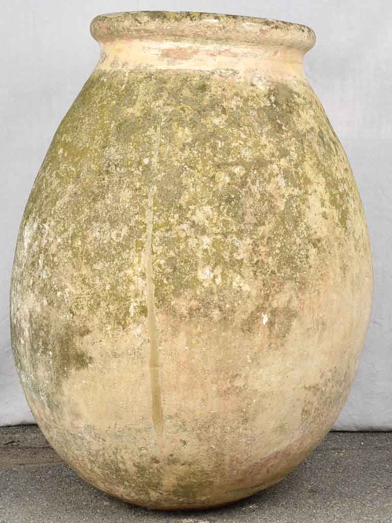 Authentic 19th Century French Olive Jar