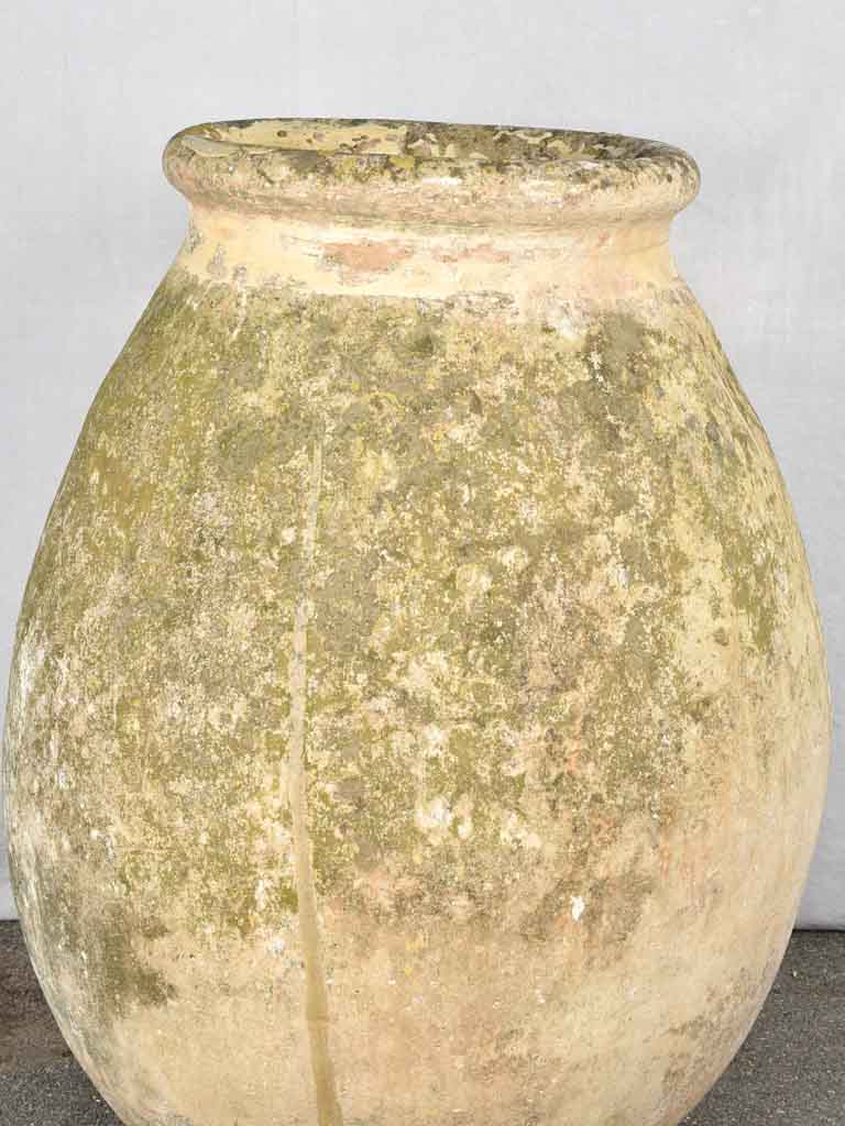 Historical Weathered French Biot Olive Jar
