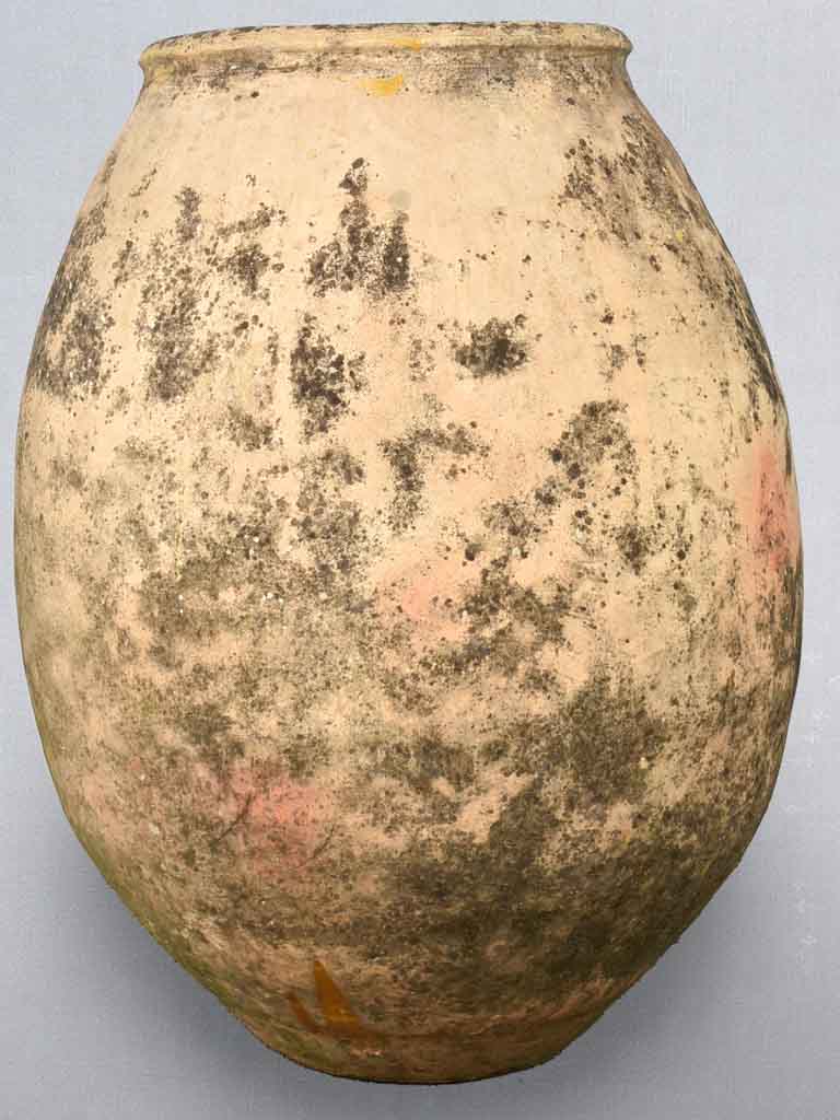 Large 19th century French olive jar - Biot jar 36¼"