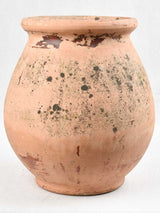 Terracotta planter garden pot - Biot shape 17"