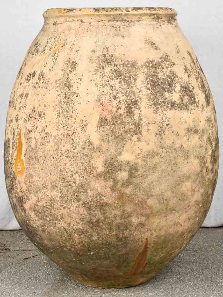 Large 19th century French olive jar - Biot jar 36¼"