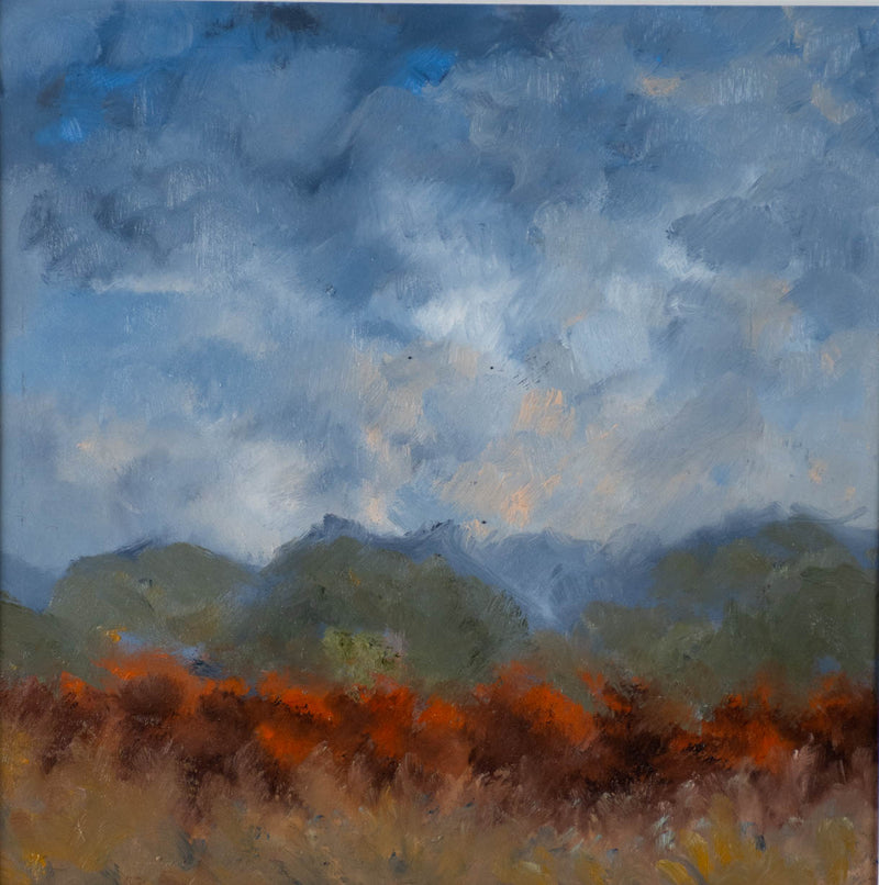 Nuage 17" x 17"