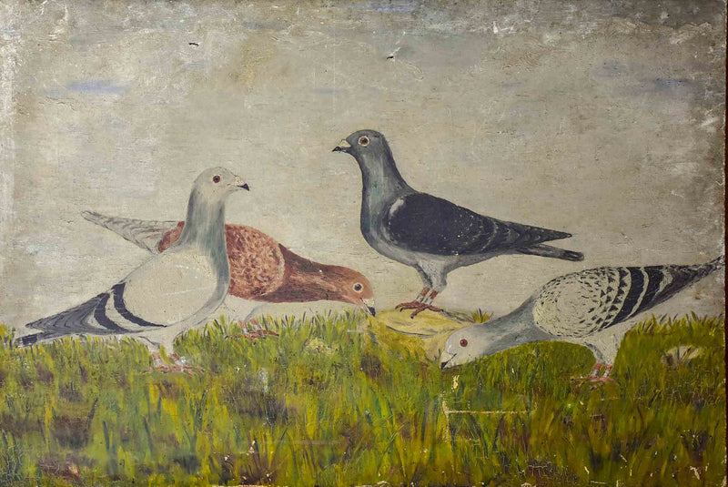 Antique French painting of pigeons 21 ¾'' x 32 ¼''