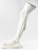 Vintage plaster anatomical leg sculpture