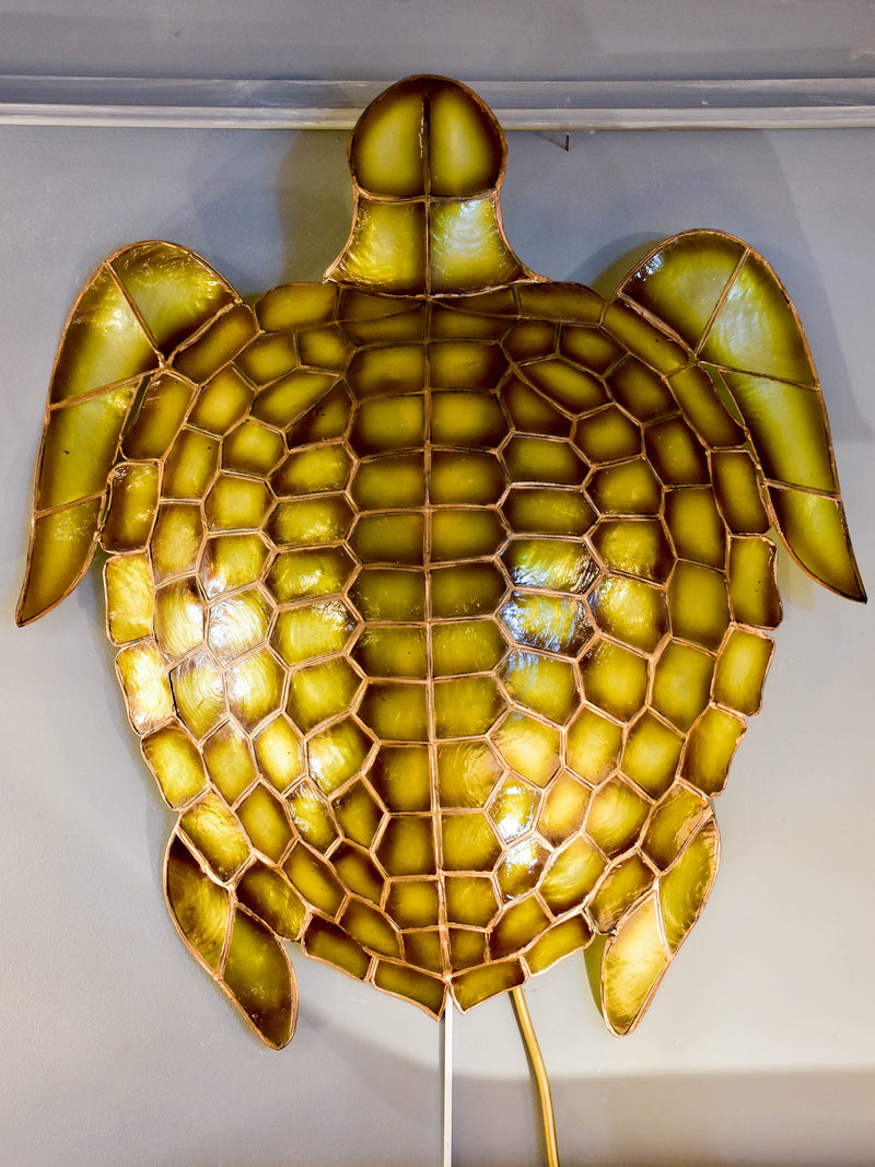 Pair of turtle shaped wall sconces