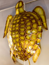 Pair of turtle shaped wall sconces