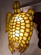 Pair of turtle shaped wall sconces