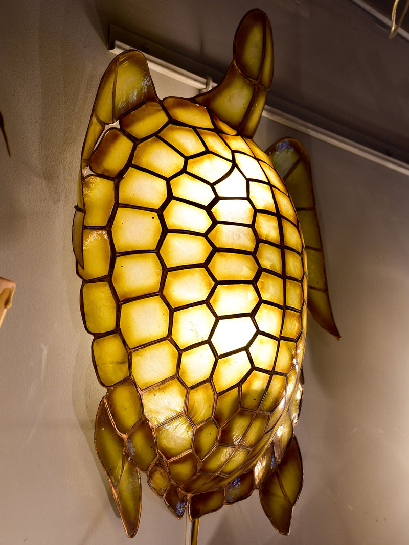 Pair of turtle shaped wall sconces