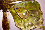 Very large butterfly wall sconce by Francois Melin, 1979