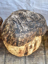 Collection of SEVEN artisan made garden stools - carved mushrooms / toadstools