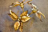 Willy Daro leaf ceiling light / wall sconce