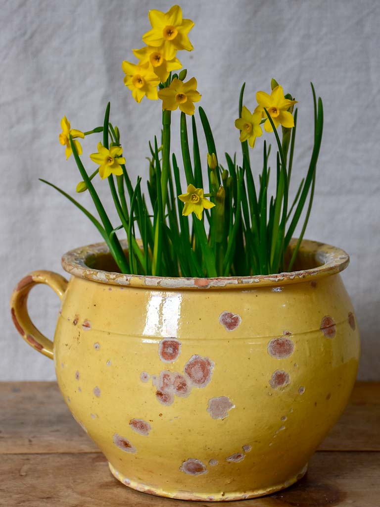 Antique French chamber pot with pale yellow glaze