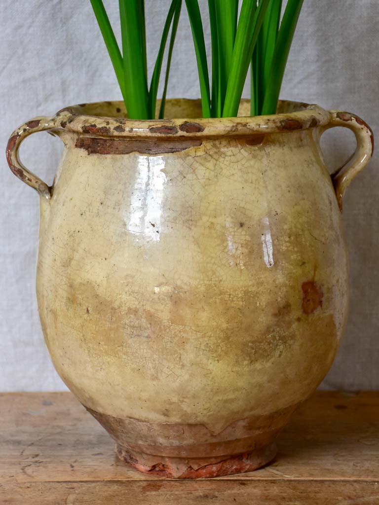Large antique French confit pot with beige crackled glaze 9¾"