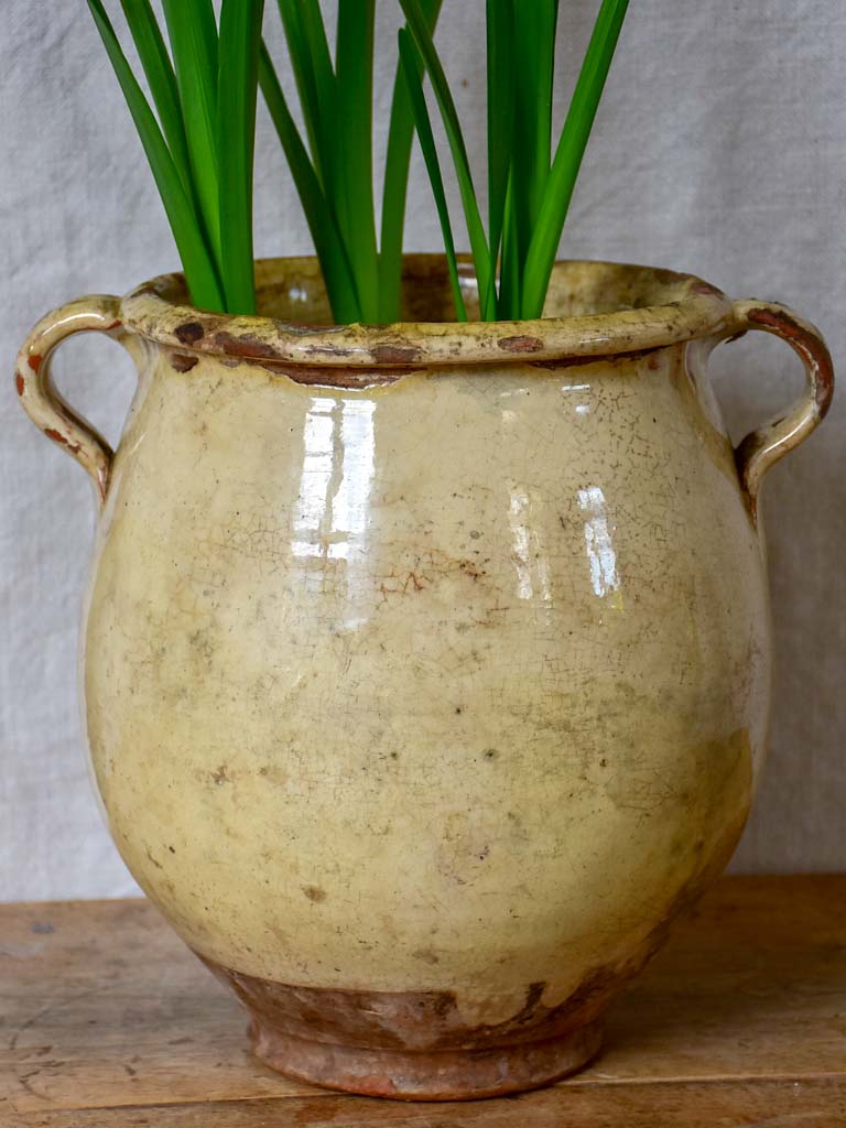 Large antique French confit pot with beige crackled glaze 9¾"