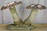 Early 20th Century garden toadstools
