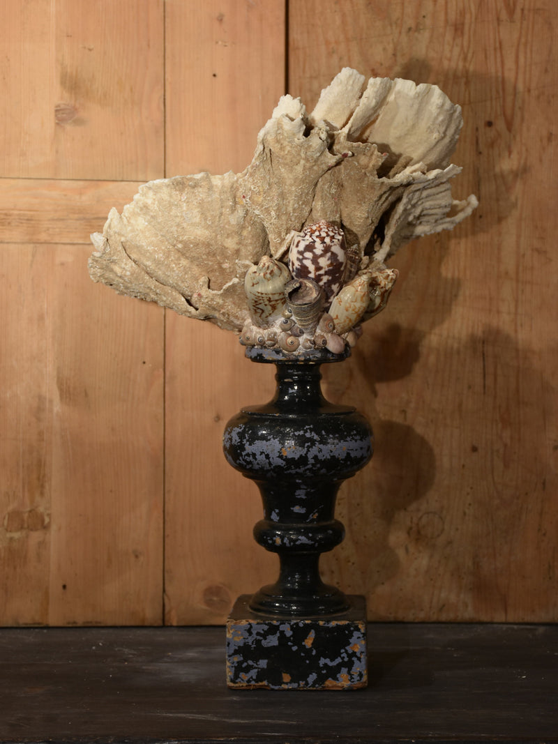 Mounted Coral specimens on antique base – white on black base