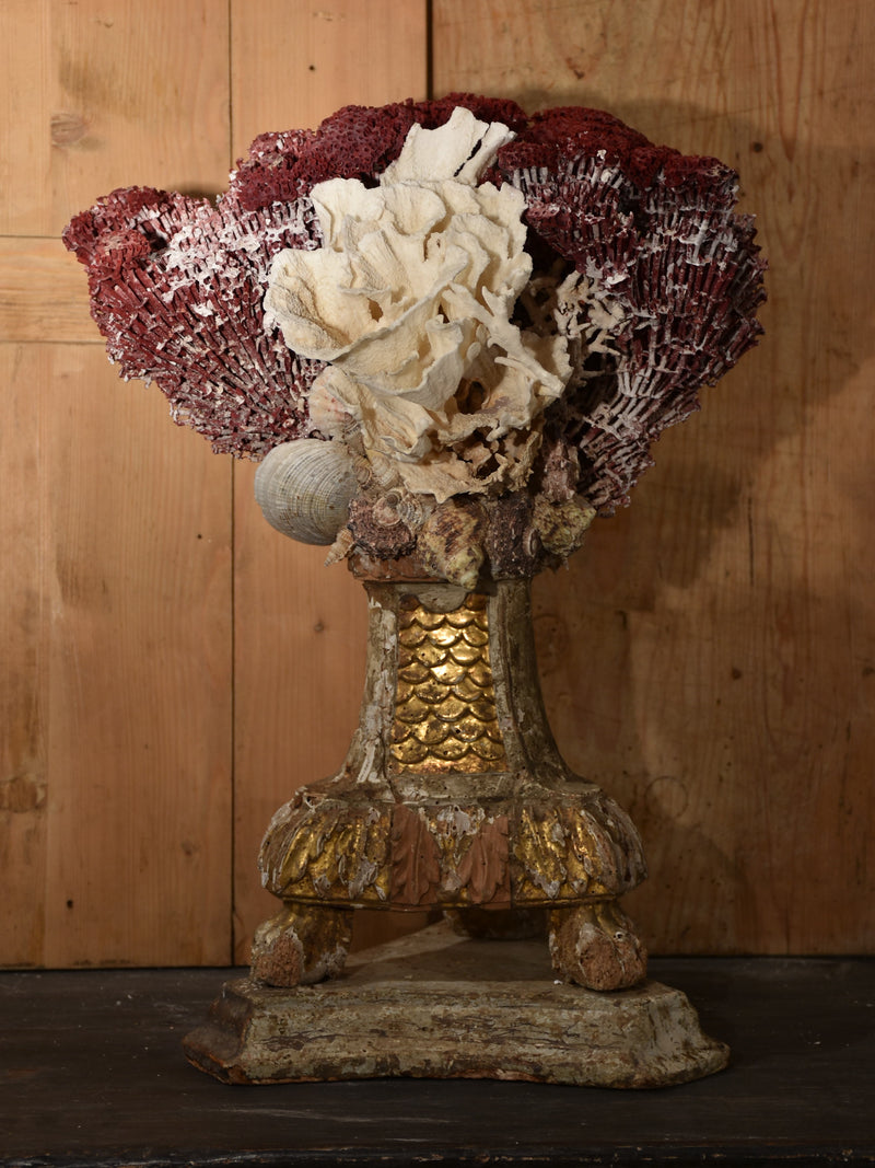 Mounted Coral specimens on antique base – red and white