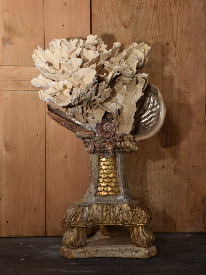 Mounted Coral and abalone shell specimens on antique base