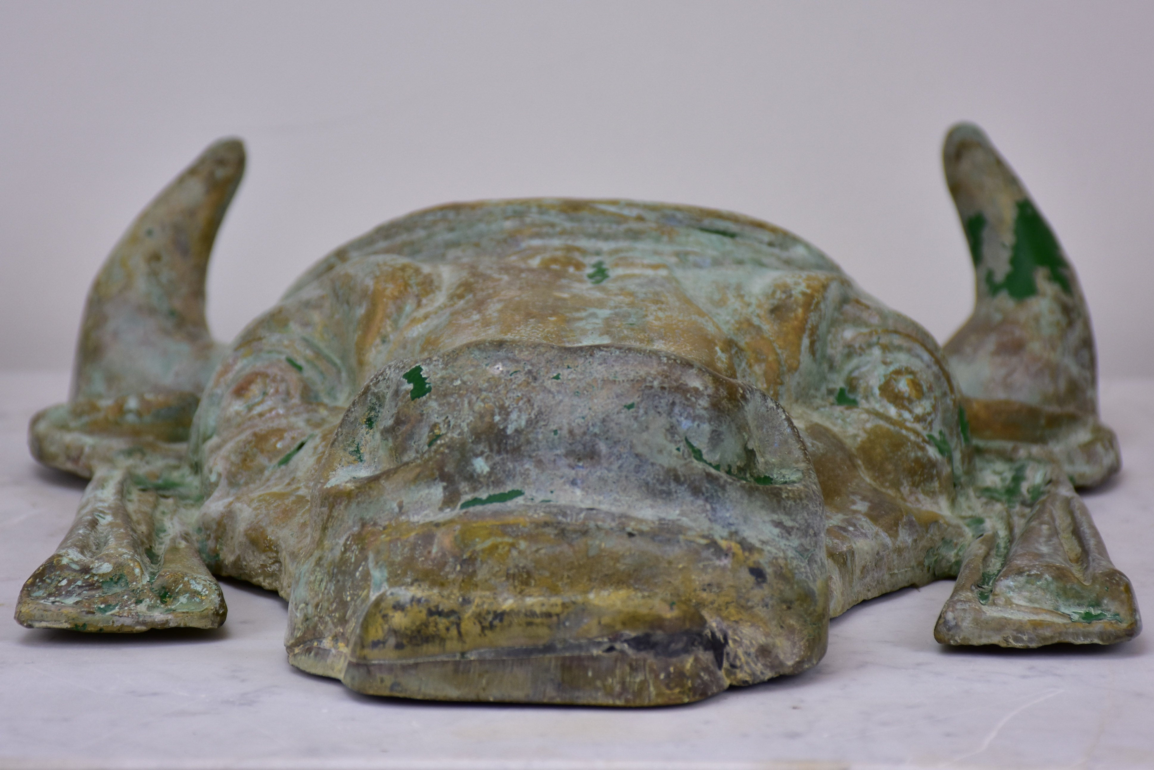 Antique French bull's head from a butcher shop