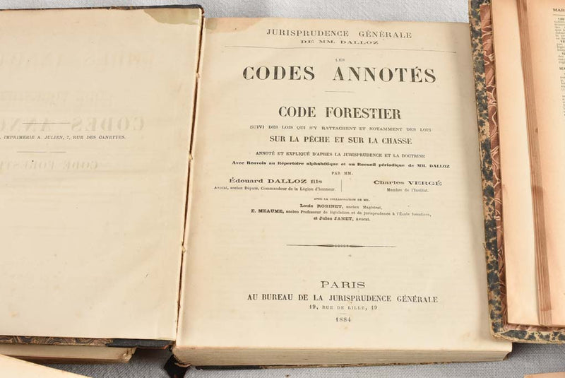 Nineteenth-century rustic Law book collection