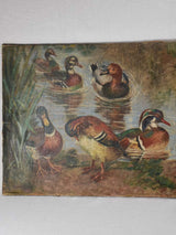 Large late-18th-century painting of bathing ducks - Anonymous 24½" x 59½"