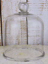 Late 19th century glass globe cloche