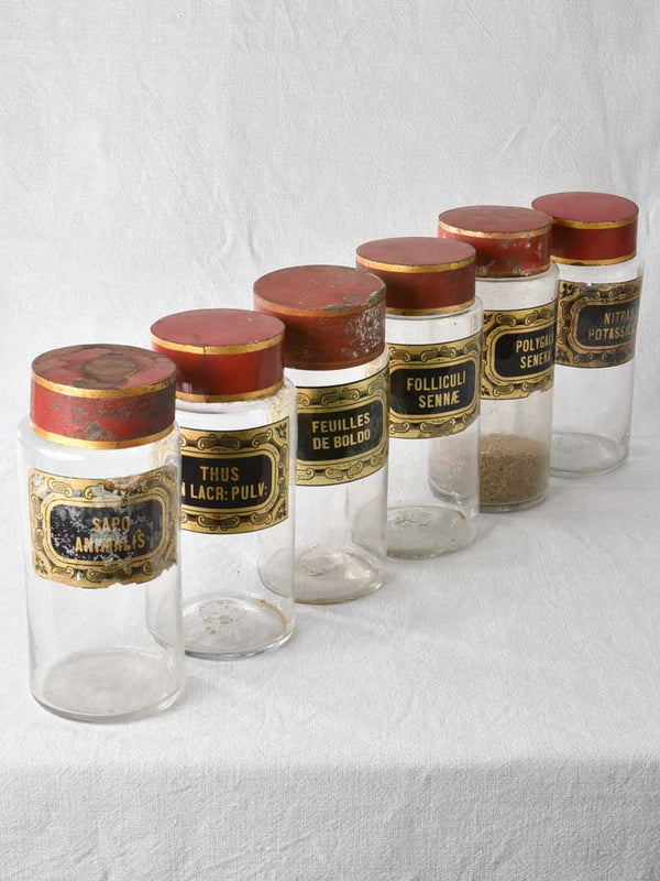 Collection of 6 antique French apothecary jars 11"