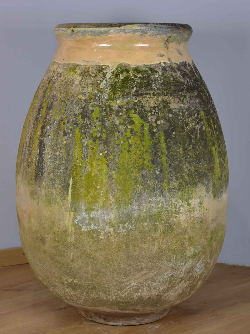 Large 19th Century French oil Biot jar