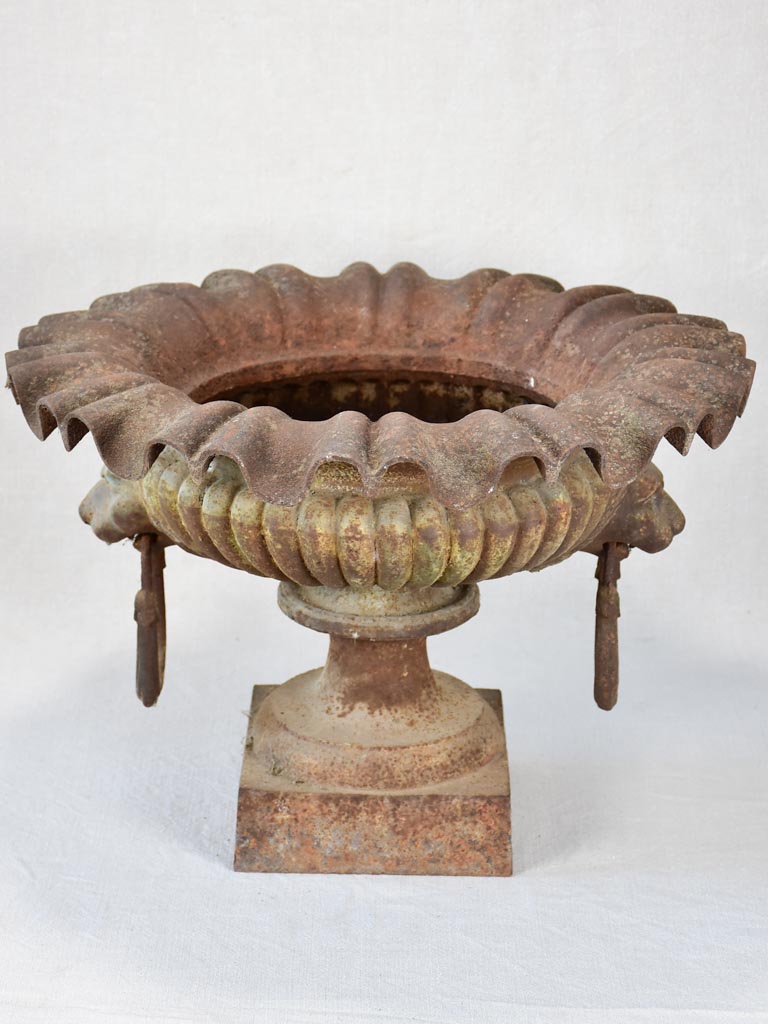 19th century French Medici urn with lion's head and loop handles 20¾"