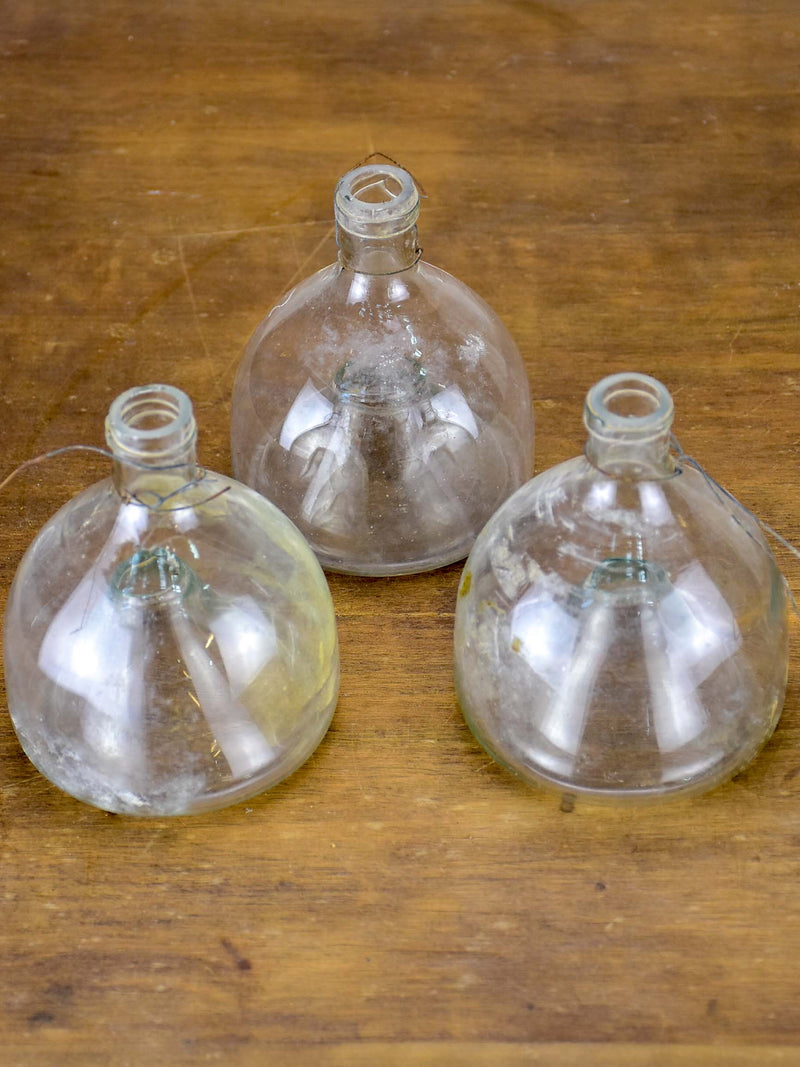 Three antique French flytrap bottles Chez Pluie