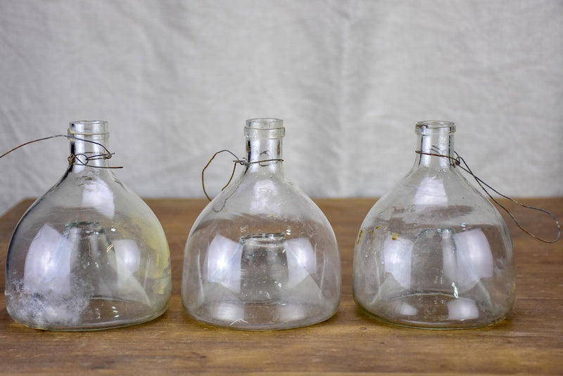 Three antique French flytrap bottles Chez Pluie
