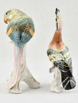 Dresden made porcelain parakeet figurine