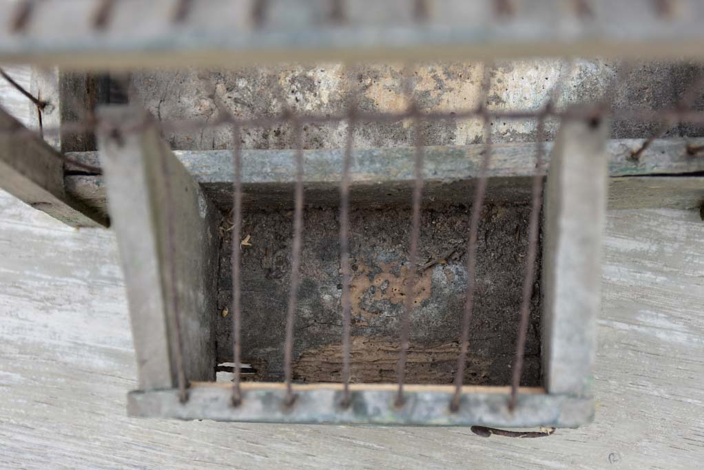 Small antique French birdcage