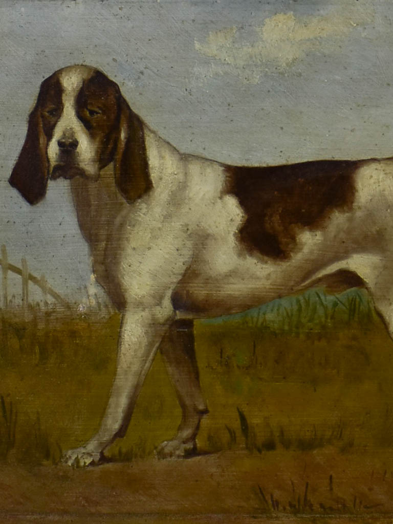 19th Century English painting of a hunting hound - anonymous 16½" x 12½"