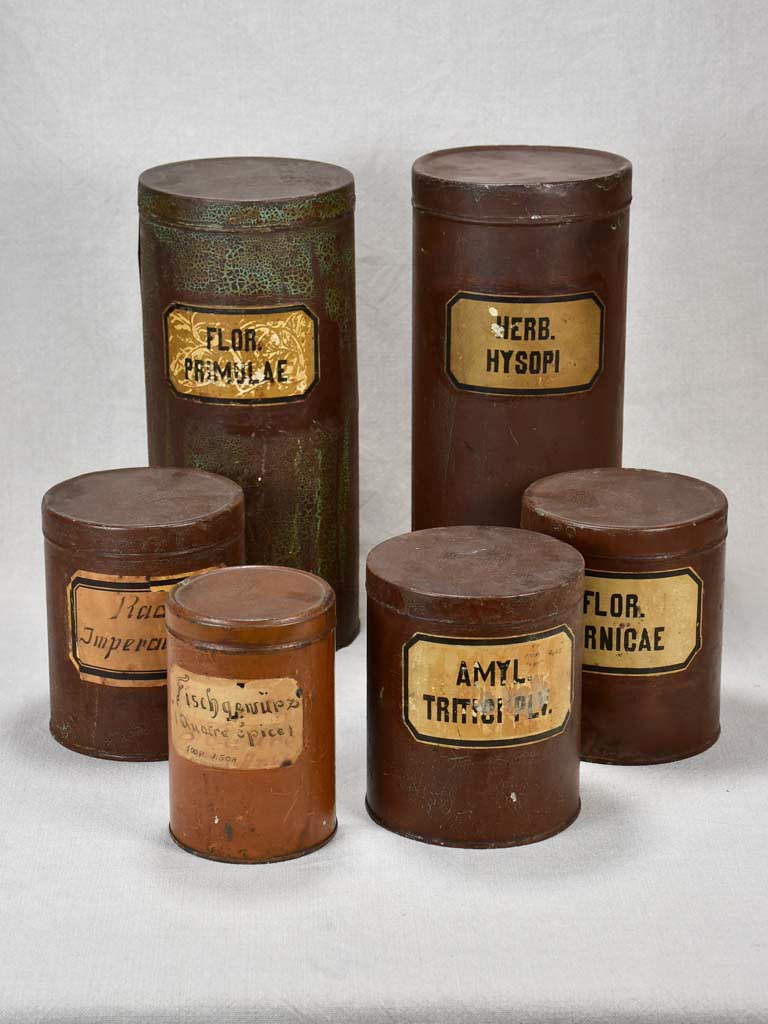 Collection of six herbalist's tins - 1900's 6¾" - 15"