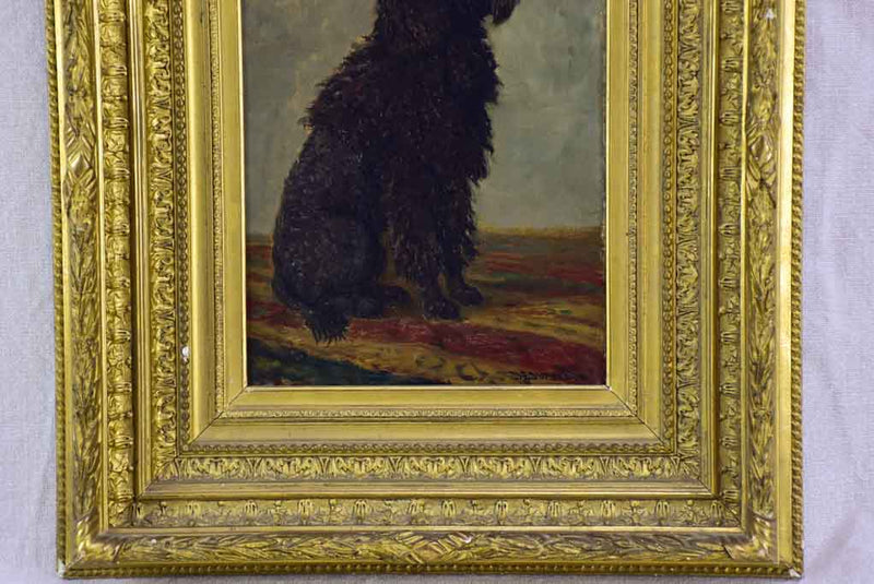 Portrait of a poodle named Capi -  Raymond Desvarreux (1876-1961) 17" x 14½"