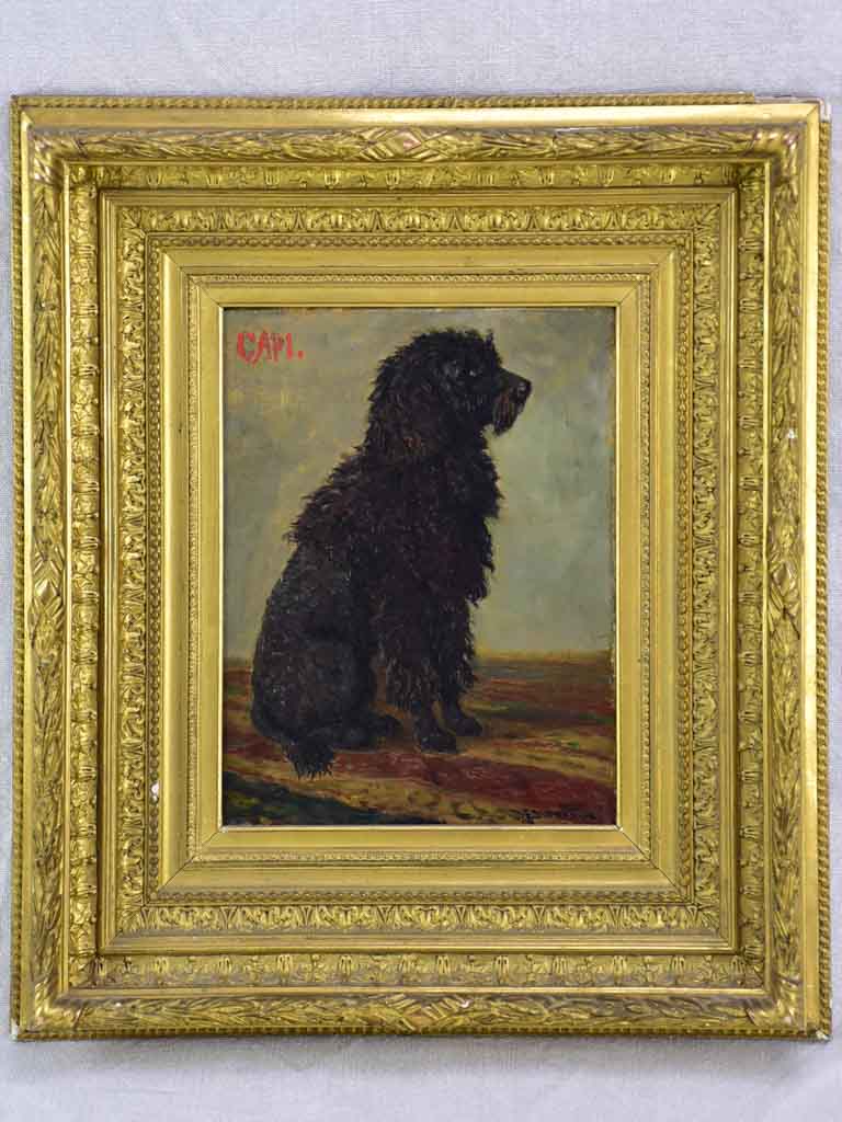 Portrait of a poodle named Capi -  Raymond Desvarreux (1876-1961) 17" x 14½"