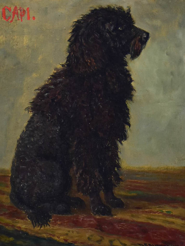 Portrait of a poodle named Capi -  Raymond Desvarreux (1876-1961) 17" x 14½"